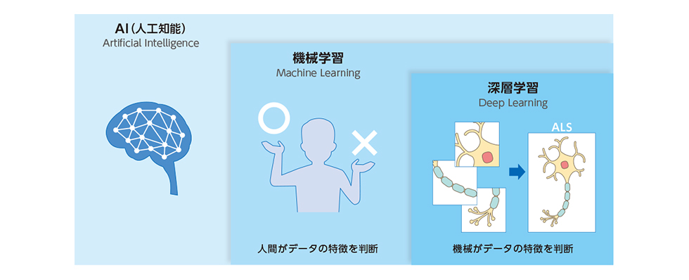 図3:AIの機械学習と深層学習