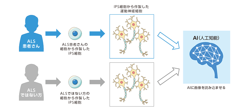 図4:実験方法